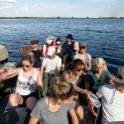 BWA NW OkavangoDelta 2016DEC01 Nguma 022 : 2016, 2016 - African Adventures, Africa, Botswana, Date, December, Month, Ngamiland, Nguma, Northwest, Okavango Delta, Places, Southern, Trips, Year